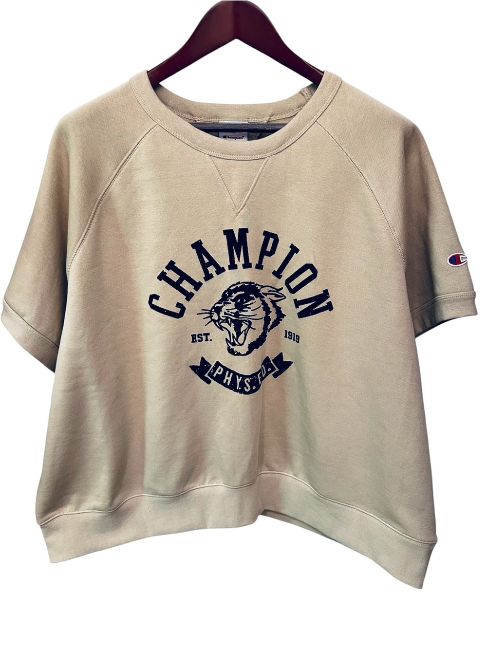 Champion Easy Pullover Sweatshirt 2X NWT